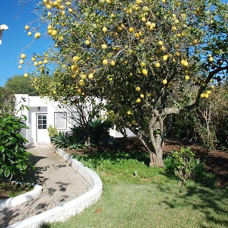 Casa Beachcomber Le Jardin Des Arts 라고스 외부 사진