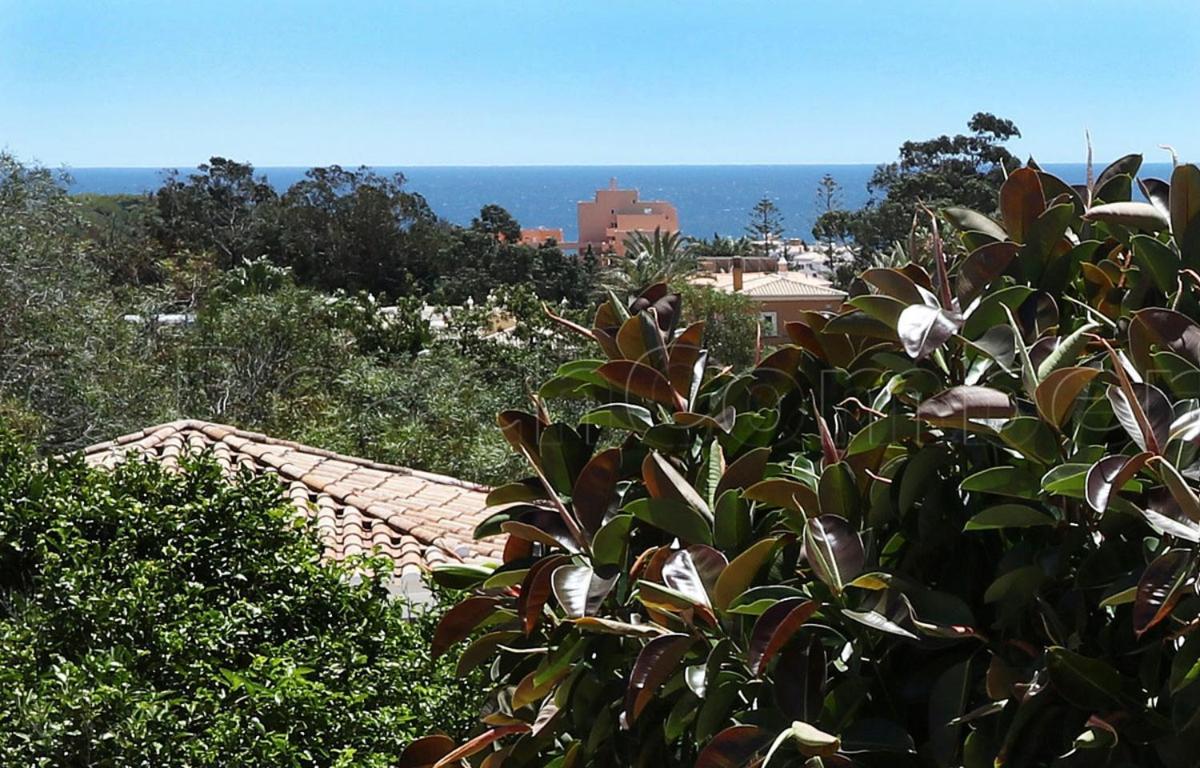 Casa Beachcomber Le Jardin Des Arts 라고스 외부 사진